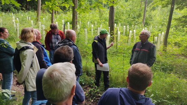 250701 WaldbegehungSchirnaidel 02.jpg final