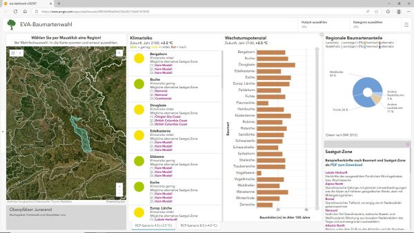 dashboard screenshot final